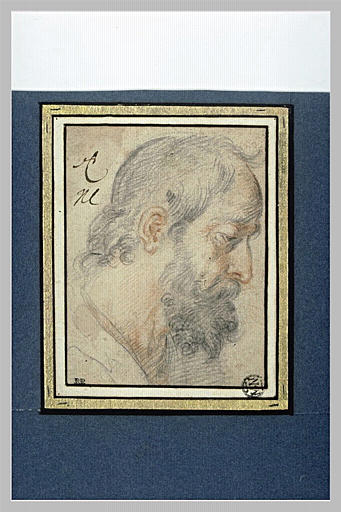 Tête d homme barbu, de profil vers la droite, les yeux baissés_0
