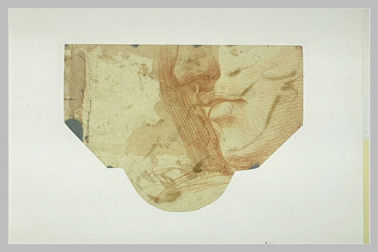 Fragment de tête, de profil, vers la gauche_0