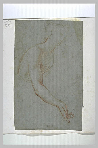 Buste et bras droit tendu en avant d'une figure demi nue_0