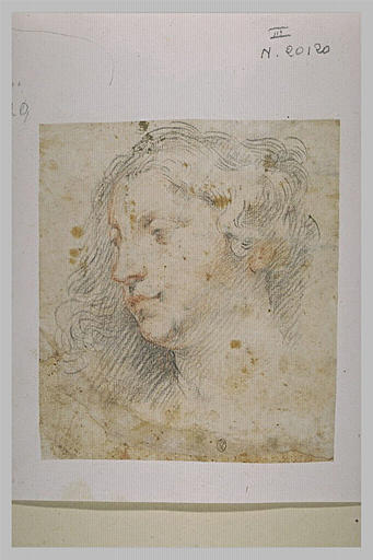 Une tête de femme, vue de profil, tournée à gauche_0