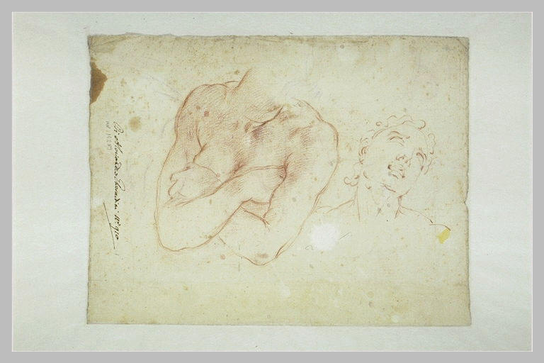 Etude d'un buste de femme et d'une tête_0