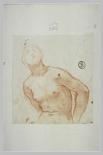 Femme nue, vue à mi-corps, les mains derrière le dos : sainte Bibiane_0