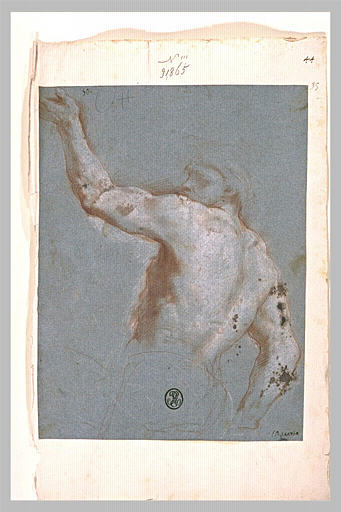 Dos masculin, vu de trois quarts, tourné vers la gauche_0