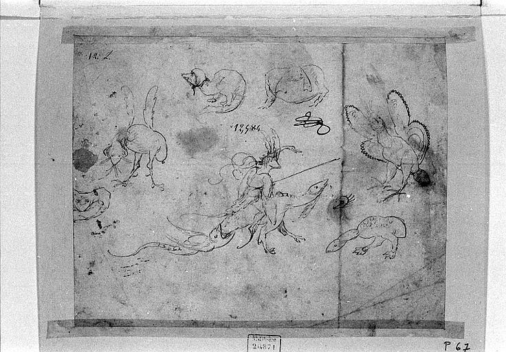 Sept croquis d'animaux monstrueux_0