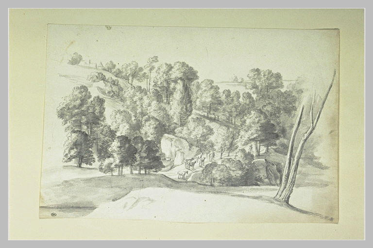 Paysage avec une route serpentant à travers des rochers et des arbres_0