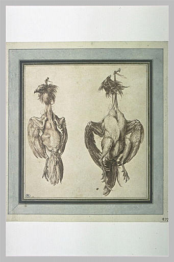 Deux poules plumées, pendues chacune à un clou_0