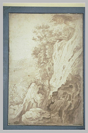 Paroi rocheuse où poussent des arbustes_0