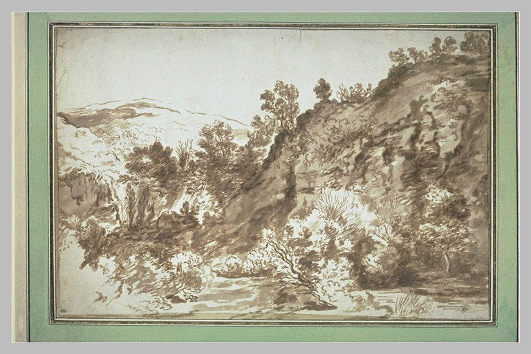 Etude de rochers couverts d'arbustes_0