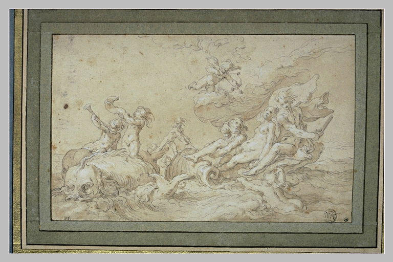 Le triomphe d'Amphitrite_0