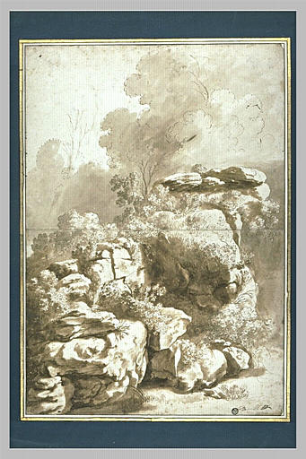 Rochers garnis de brousailles et d'arbustes_0