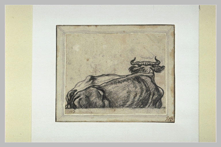 Vache couchée tournée à droite, vue de dos_0