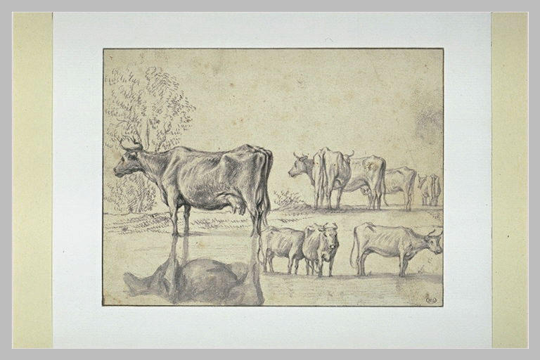 Feuille de huit études de vaches_0
