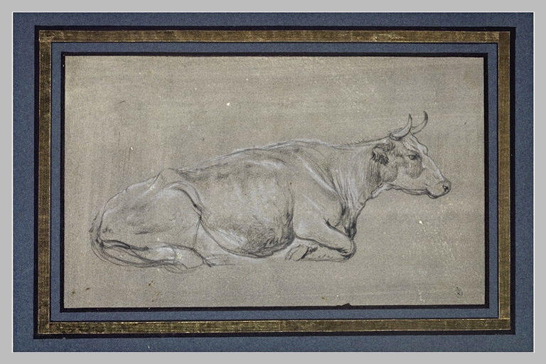 Une vache couchée, de profil vers la droite_0