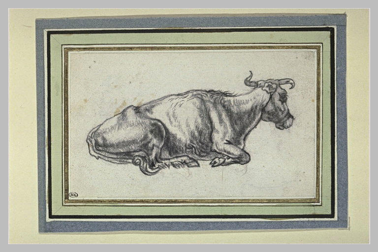 Etude de vache couchée, de profil vers la droite_0