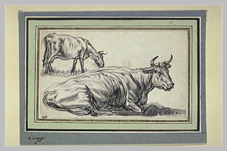 Etude d'une vache couchée et d'une autre debout_0