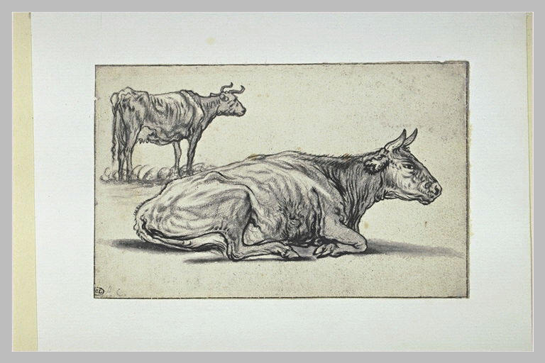 Etude d'une vache couchée et d'une autre debout_0