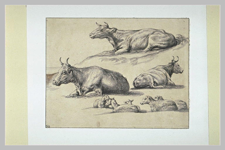 Trois vaches et cinq moutons couchés_0