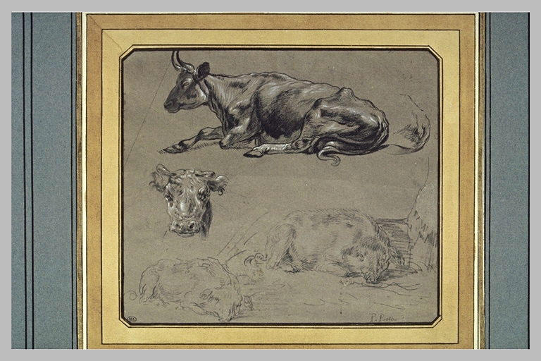Cinq études de vaches et de porcs_0