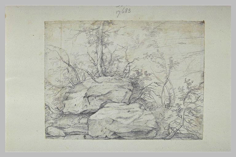 Rochers garnis d'arbustes à demi-morts_0
