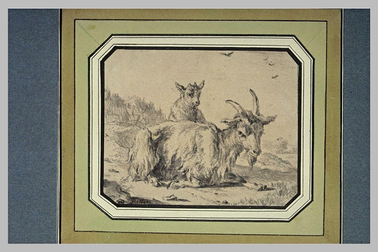 Chèvre et son chevreau, dans un paysage_0