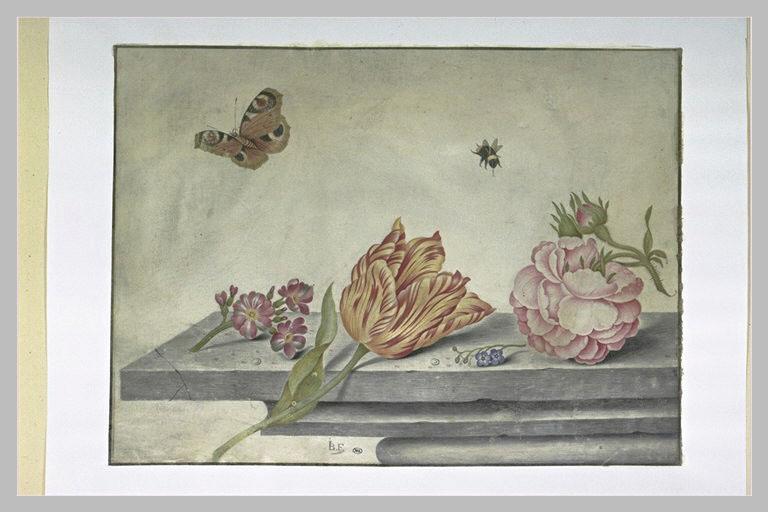 Composition avec insectes et fleurs_0