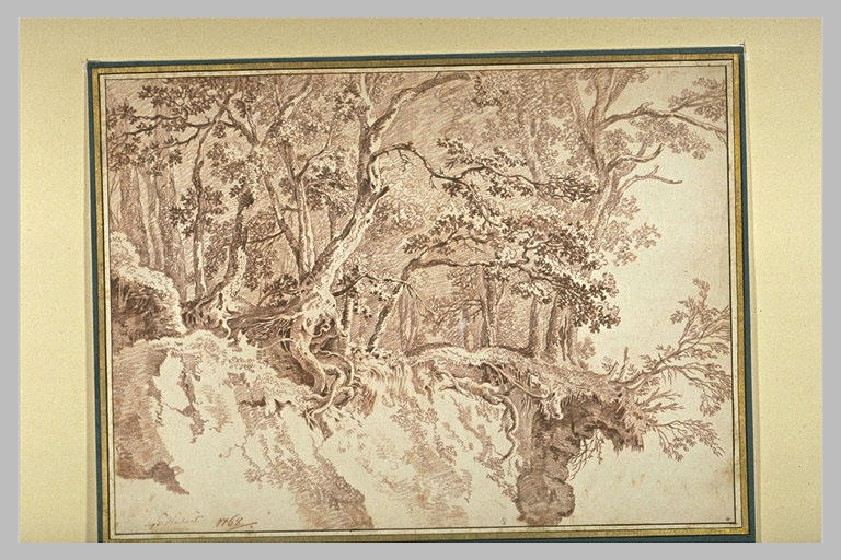 Etude d'arbres sur des rochers_0