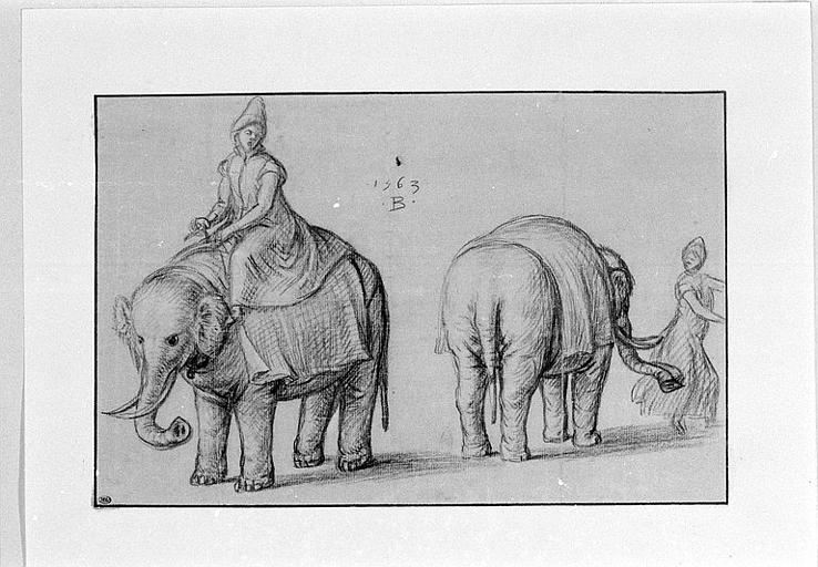 Deux études d'éléphants et de leurs gardiens_0