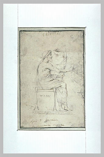 Archytas assis, de profil vers la droite_0