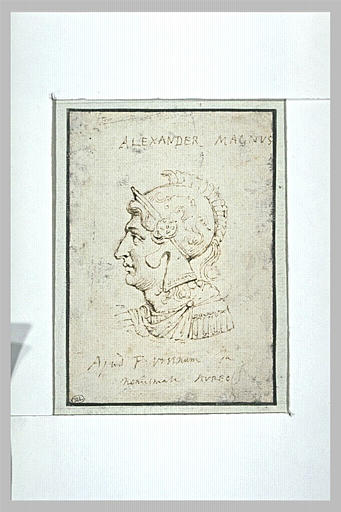 Alexander Magnus en buste, casqué_0