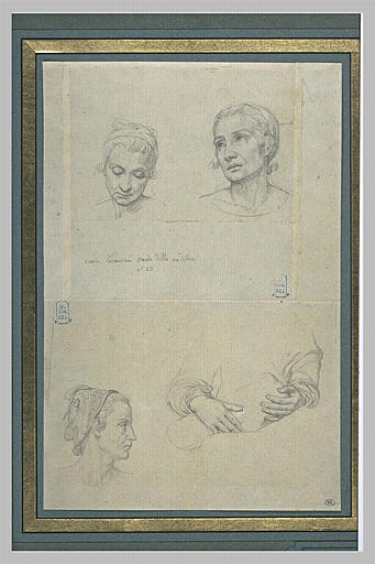 Trois têtes de femmes_0