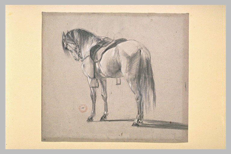 Etude de cheval_0
