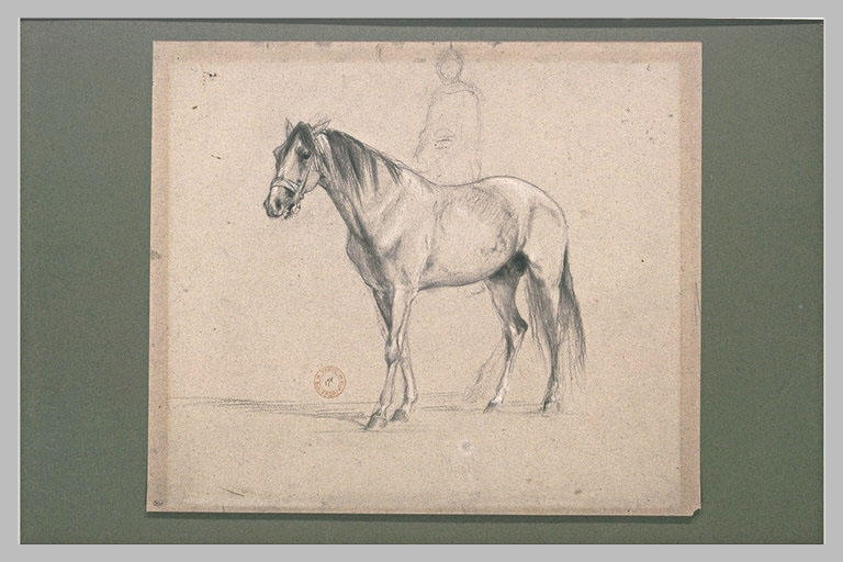 Etude de cheval et silhouette de cavalier_0