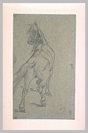Etude de cheval, de dos_0