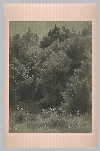 Un bois des environs de Cernay_0