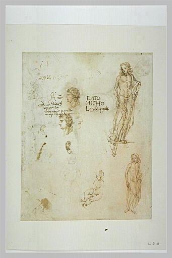 Trois profils, des oreilles, deux Apollon, deux enfants_0