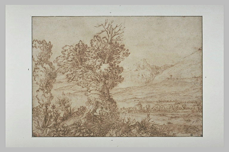 Paysage avec deux grands arbres et des montagnes au loin_0