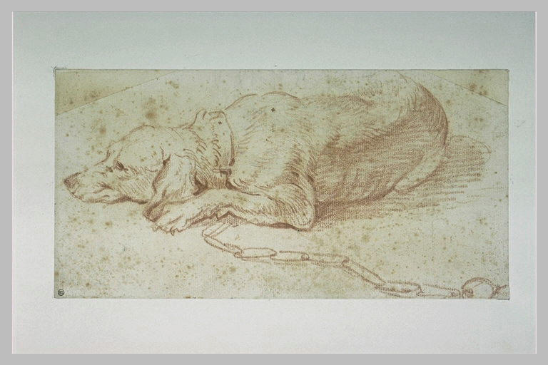 Chien couché à la chaine_0