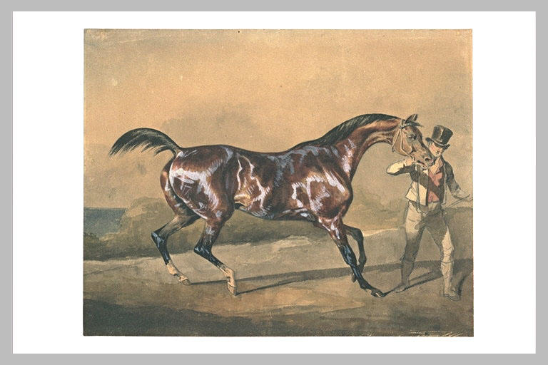 Cheval à l'entraînement_0
