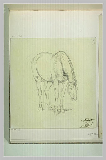 Cheval debout, la tête penchée, de trois quarts vers la droite à Frascati_0