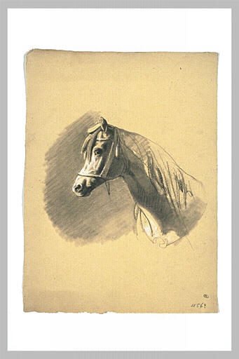 Tête de cheval de profil à gauche_0