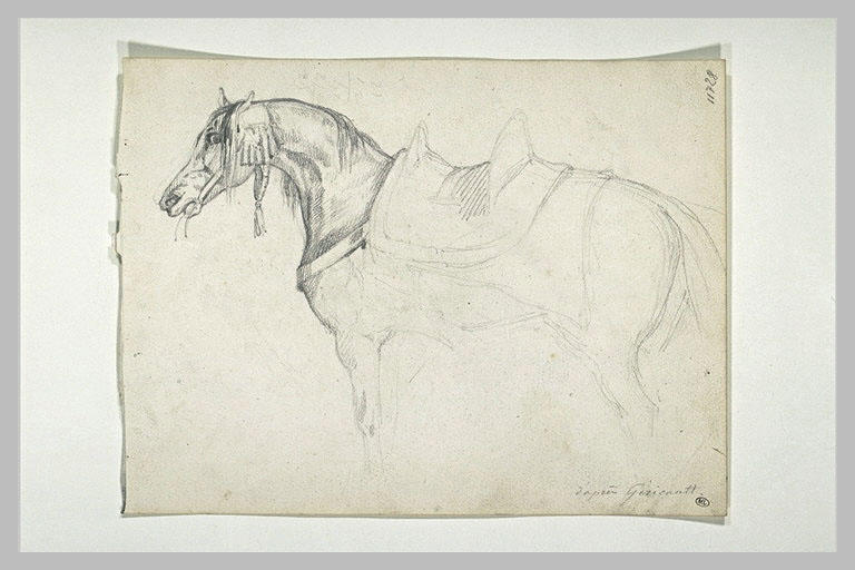 Cheval arabe, sellé, tourné vers la gauche_0