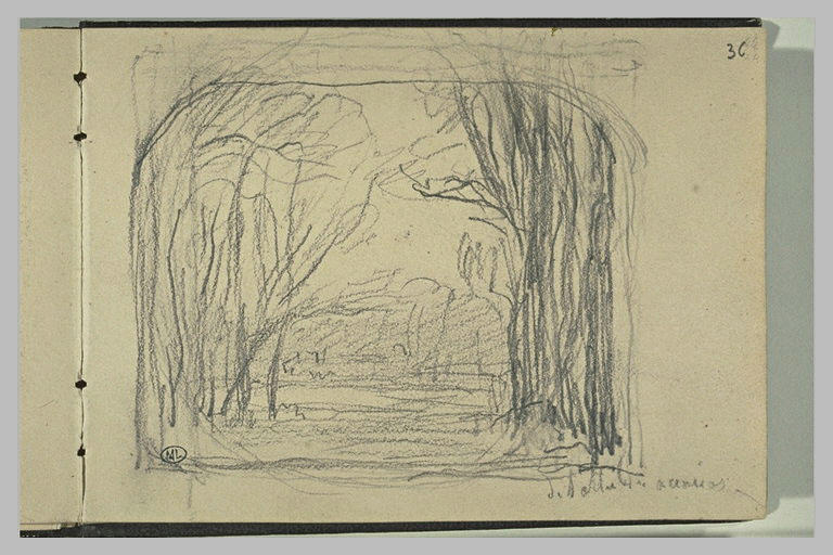 Paysage avec de grands arbres_0