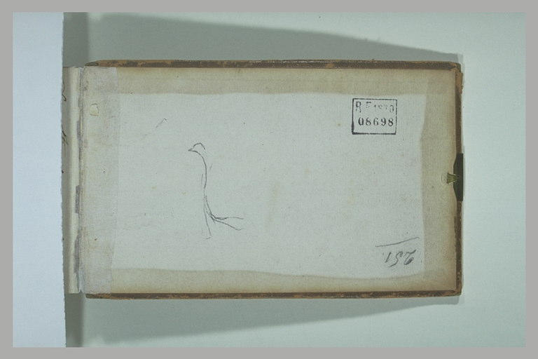 Esquisse d'un oiseau_0