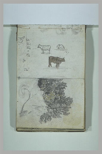 Figures ; vaches ; étude d'arbres_0