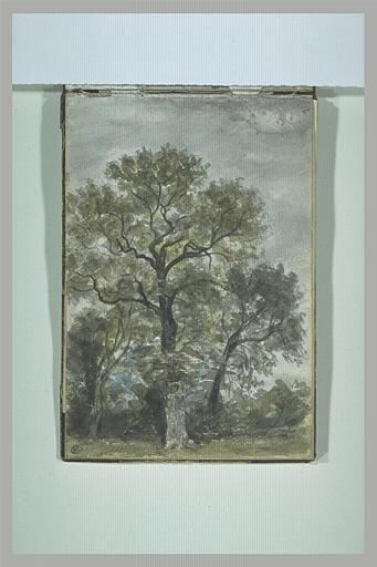 Paysage avec des arbres_0