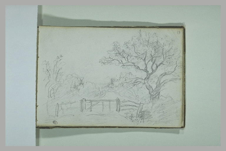 Paysage_0