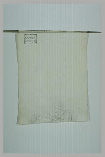 Fragment de feuillages d'arbre_0