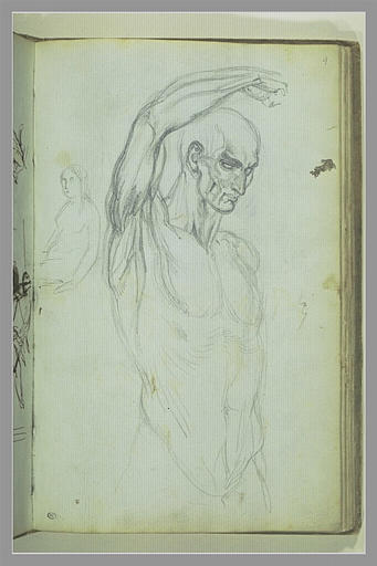 Etude d'homme nu, écorché_0