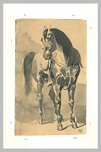 Cheval sellé, vu presque de face_0