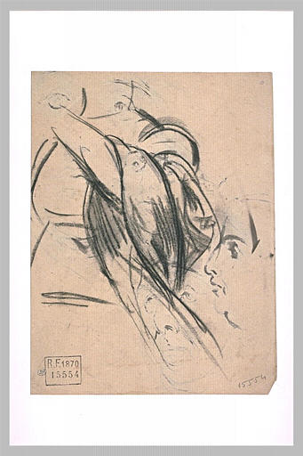 Etude de draperie, et profil_0